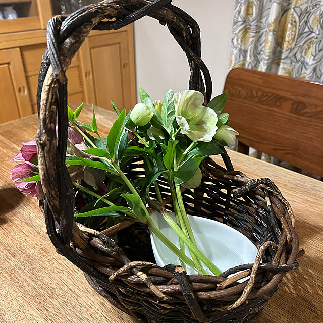 botanさんの部屋