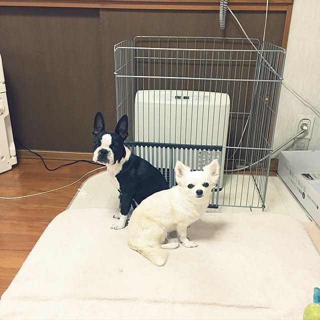 kurumeruさんの実例写真