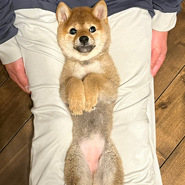 kurin_さんの実例写真