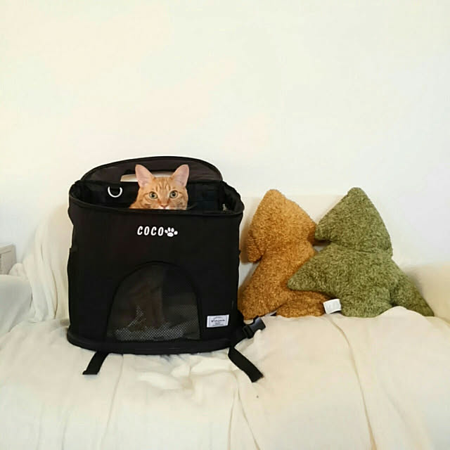 mayutan.さんの実例写真