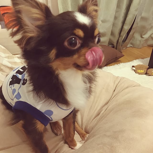 yuさんの実例写真