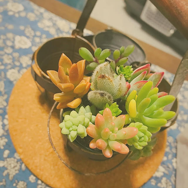 sachiさんの実例写真