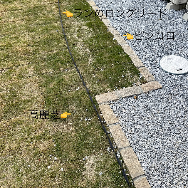 manekinekoさんの実例写真