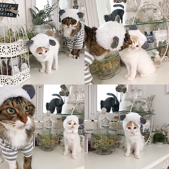 yuchiさんの実例写真