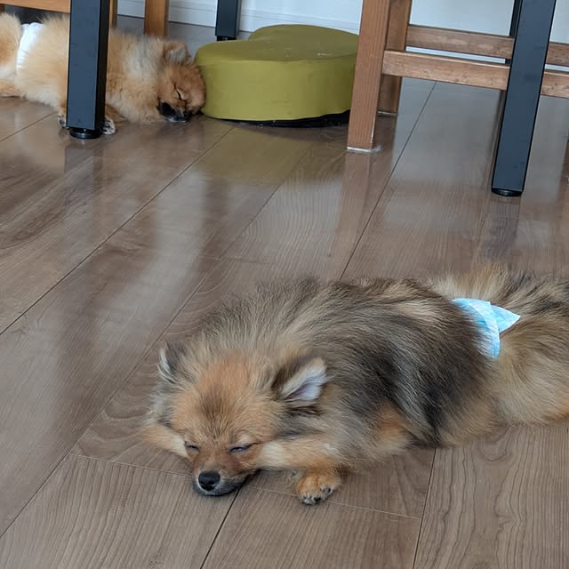 avovo7さんの部屋