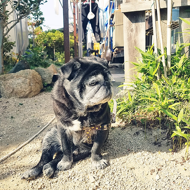 325unさんの実例写真
