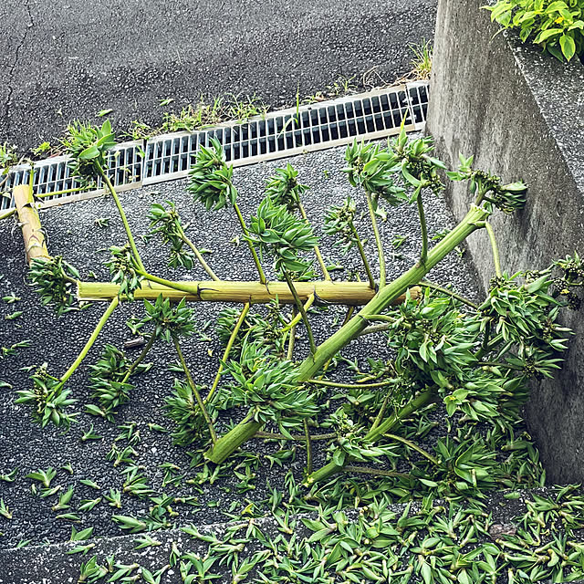 kabu10さんの部屋