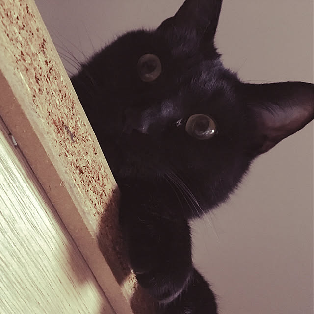 FSさんの実例写真