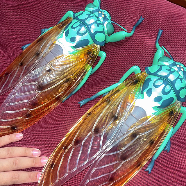 takakuzenさんの実例写真