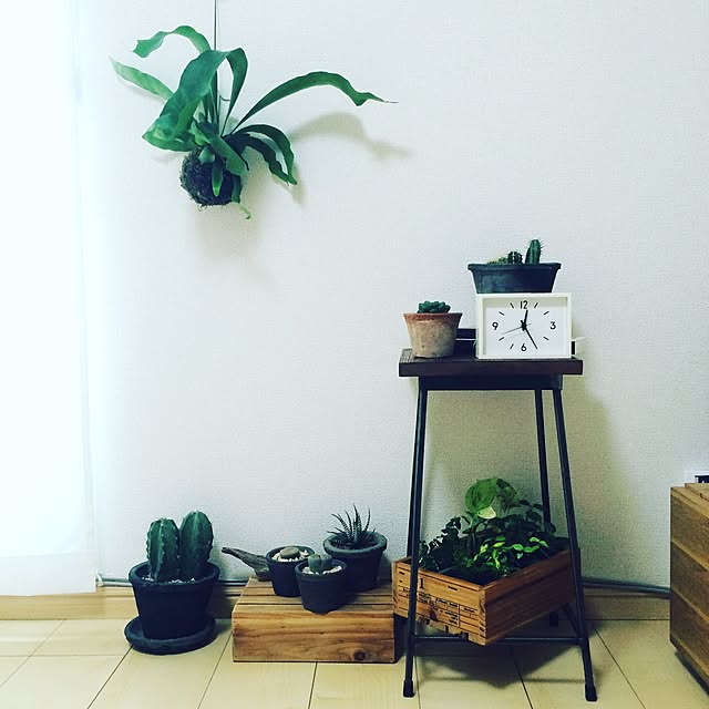 cactusさんの実例写真