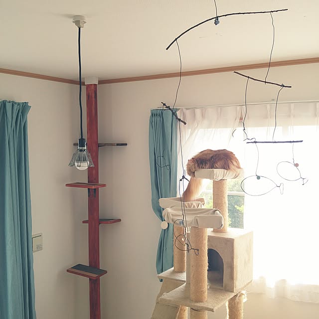 l..tomesanさんの実例写真