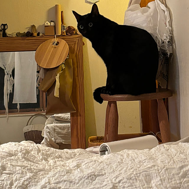 neko-2.2.2runmuさんの部屋