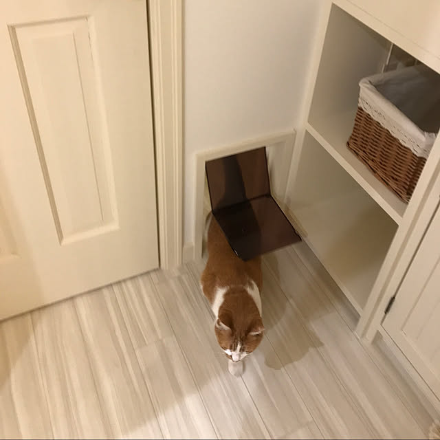sakuraさんの部屋