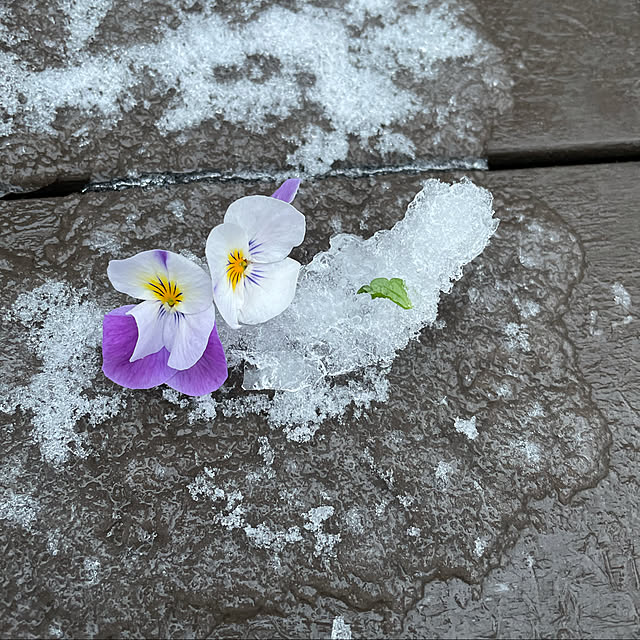 orangeさんの実例写真