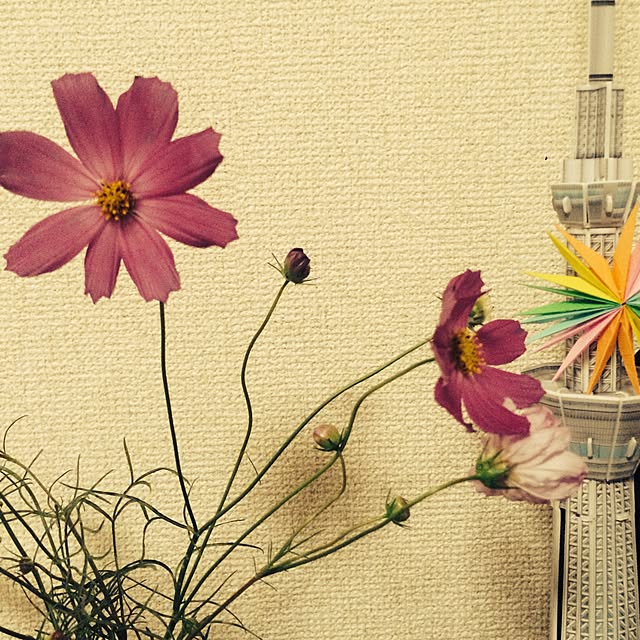 tsr_mtmさんの実例写真