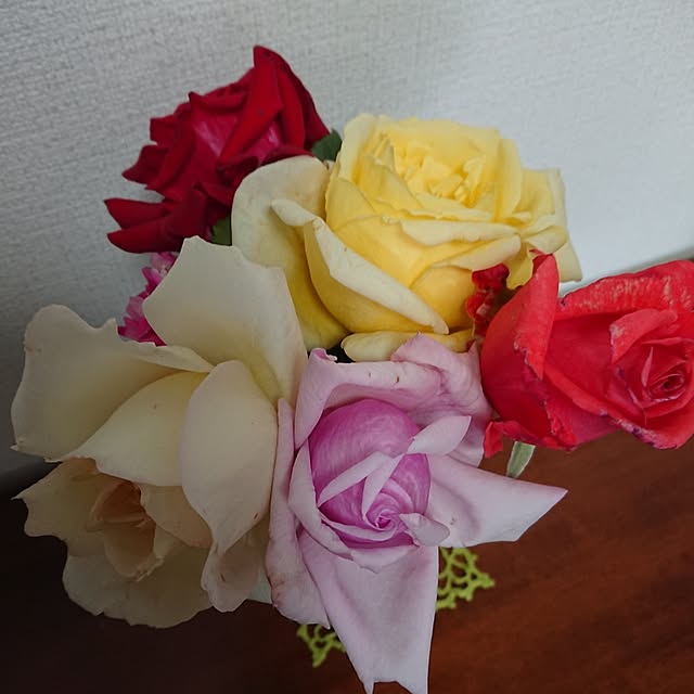 hopkeiさんの実例写真