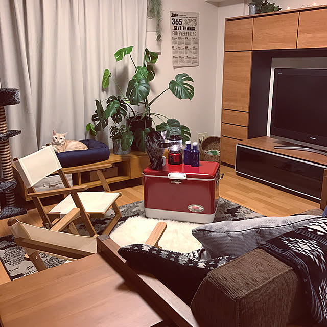 hiyupan88さんの実例写真