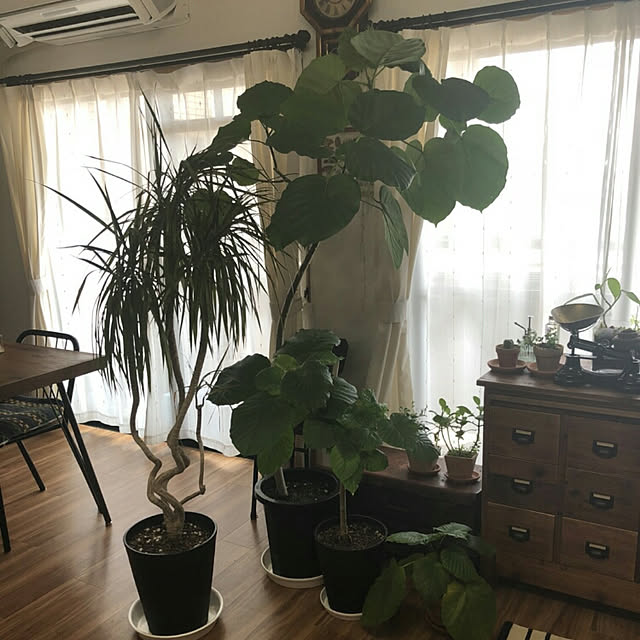 tama0330さんの実例写真