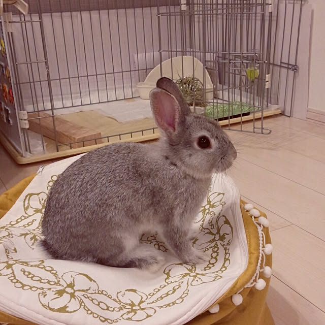 hiromakochisaさんの実例写真