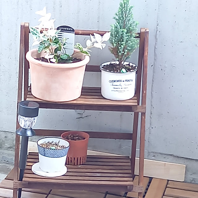 実例写真