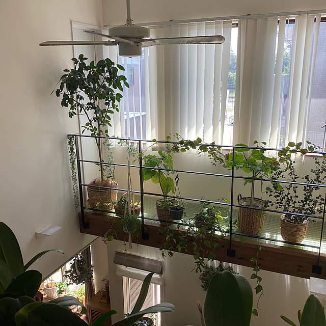taakoさんの部屋