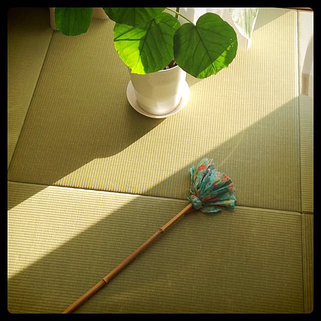 Hanaさんの実例写真