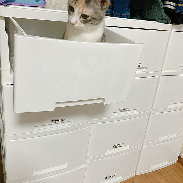 yonpurasuniさんの実例写真
