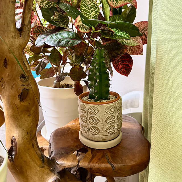 dadarikaさんの実例写真