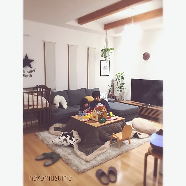 nekomusumeさんの実例写真