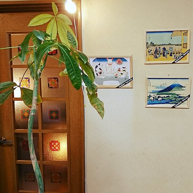 hariou_999さんの実例写真
