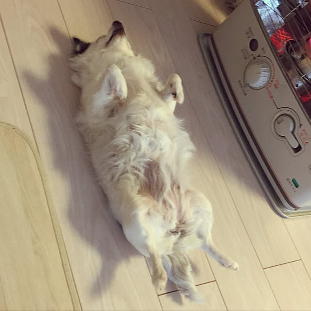 ohanaさんの実例写真