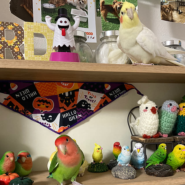 toratanさんの部屋