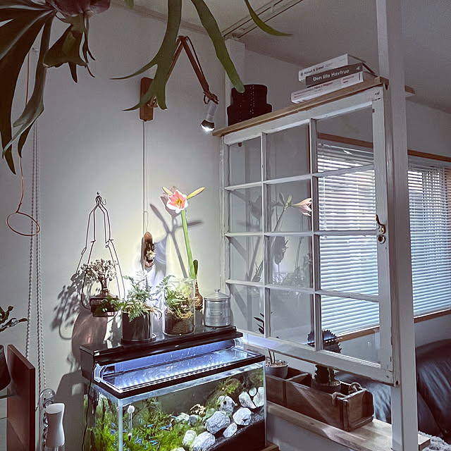 akiさんの実例写真