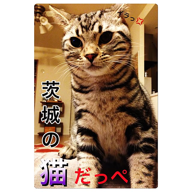 y.k.0123さんの実例写真