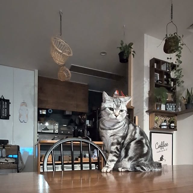 lovepeaceさんの実例写真