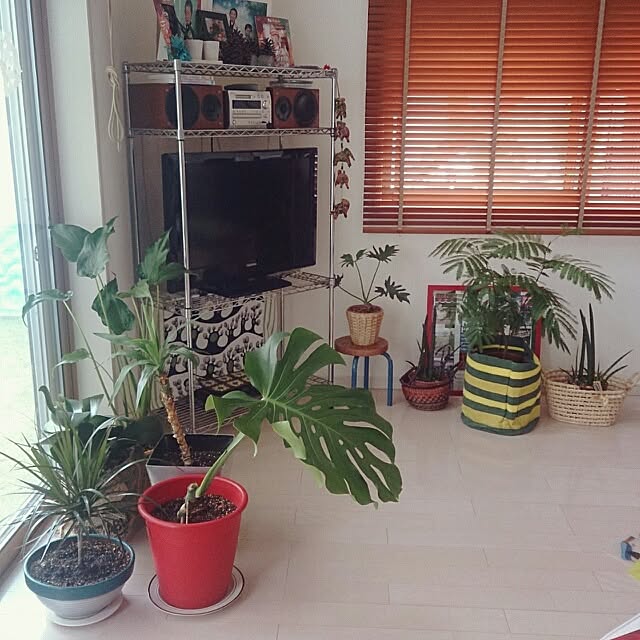 urchinさんの実例写真