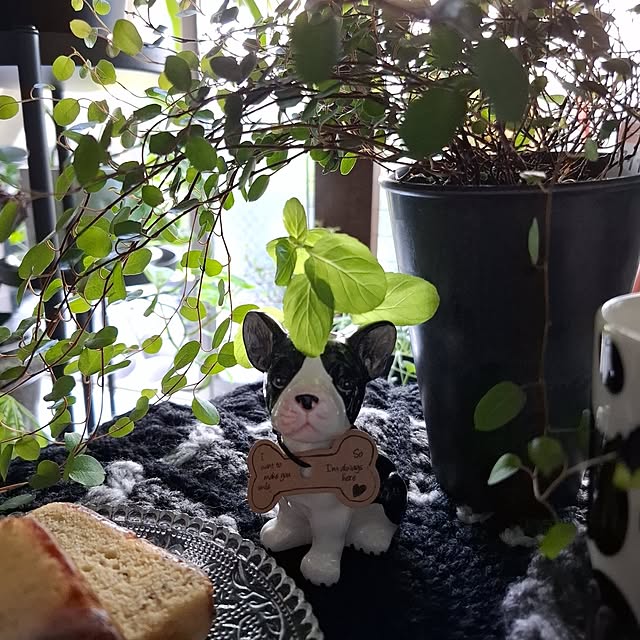 noaさんの部屋