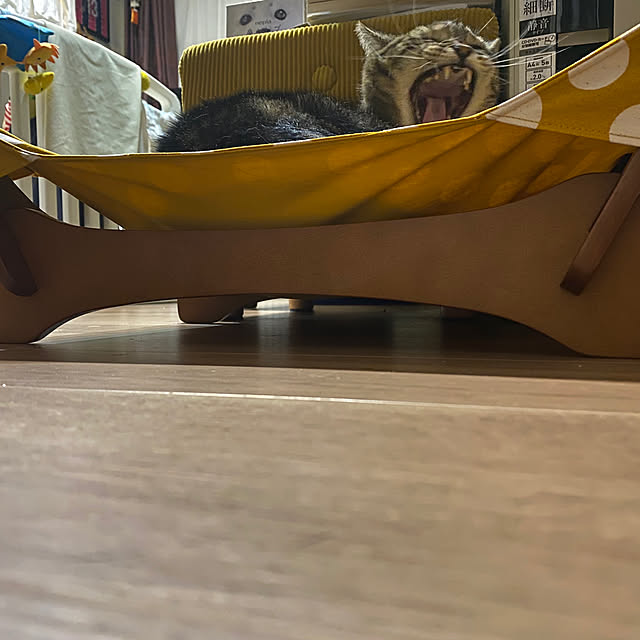 mikomaruさんの実例写真