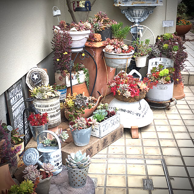 burgundy.roseさんの実例写真