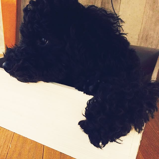 natulove0418さんの実例写真