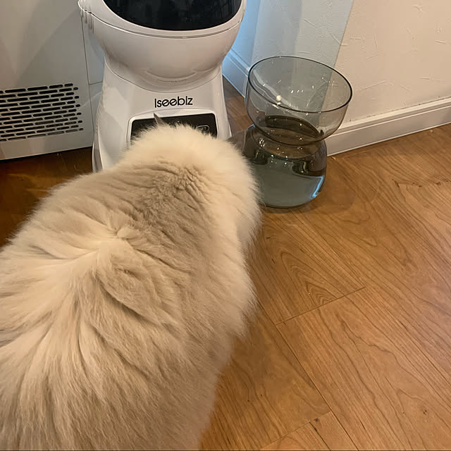 yukiさんの実例写真
