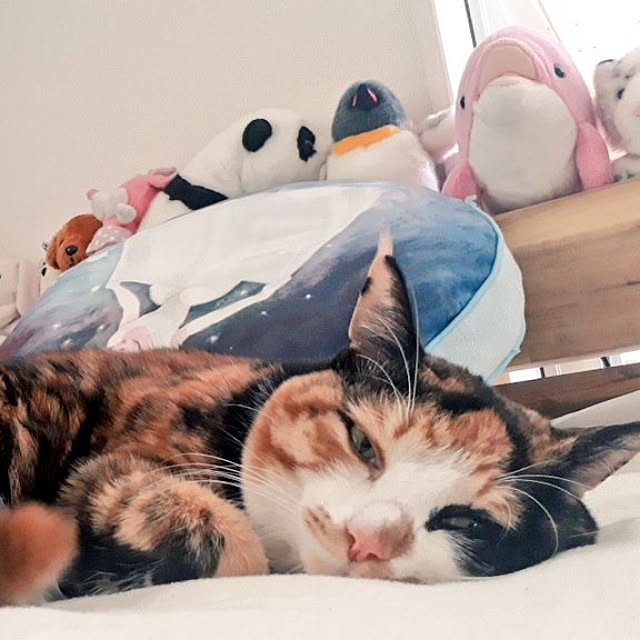 aiさんの実例写真