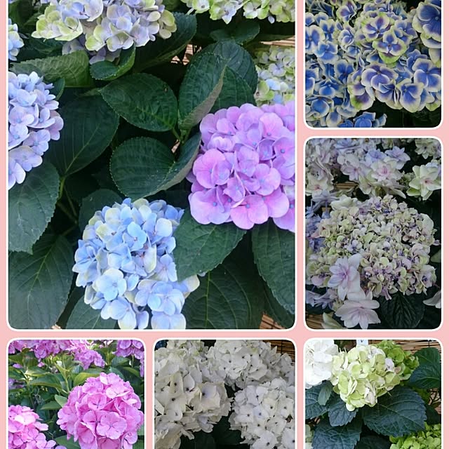 sena.masato.mamaさんの実例写真