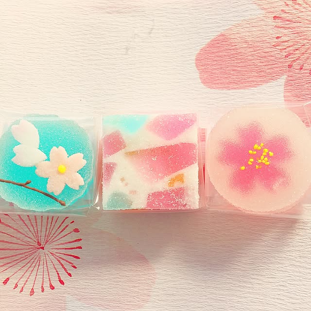 Sanaさんの実例写真