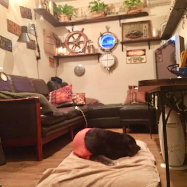 rosemaryさんの実例写真