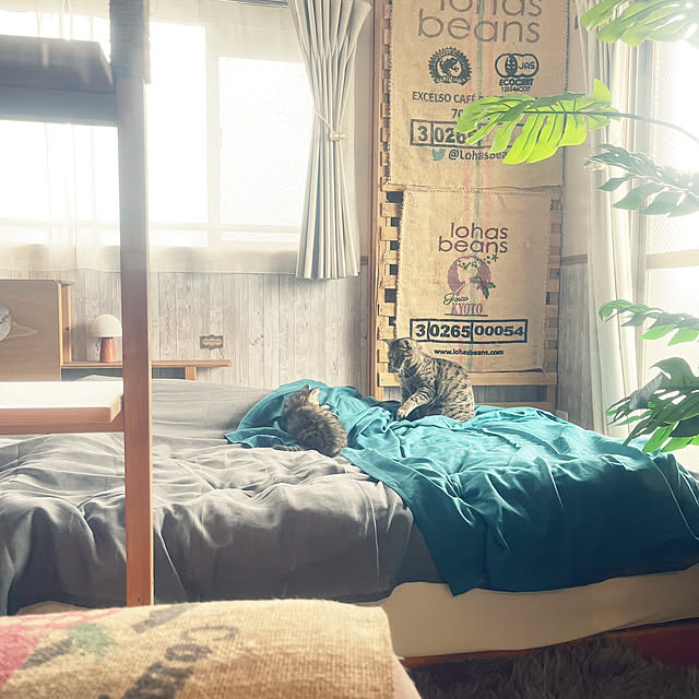 Mさんの部屋
