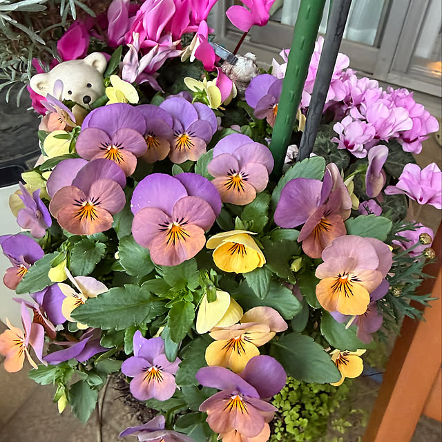 Aqettyさんの部屋