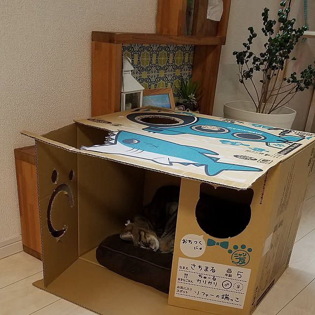 t-famさんの実例写真
