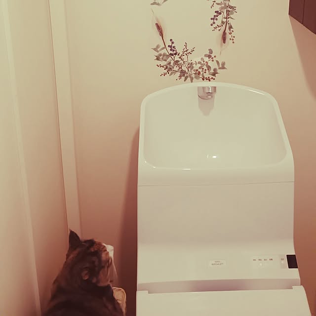 aiさんの実例写真