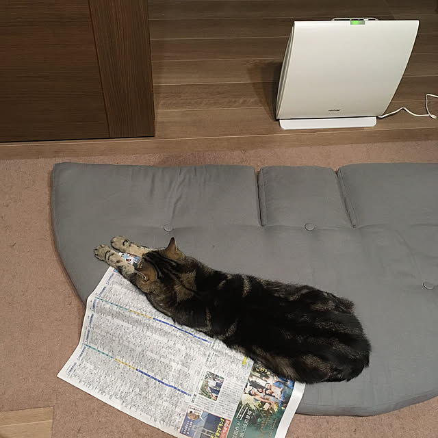 mikomaruさんの実例写真
